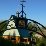 Новостная лента